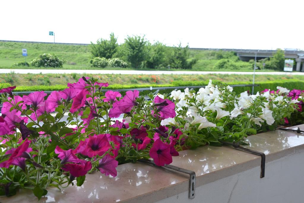 Boara Pisani Hotel Petrarca מראה חיצוני תמונה